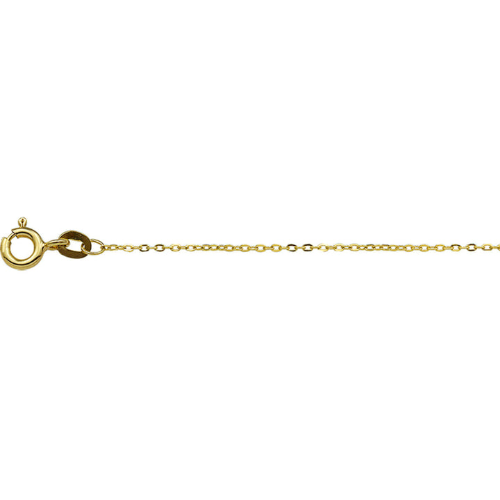 De collier anker plat 1,0 mm in 14K geelgoud van Van der Kooij Collectie heeft kleine, gelijkmatige schakels en een ronde veerring sluiting-een elegante unisex ketting in tijdloze stijl, getoond op een witte achtergrond.