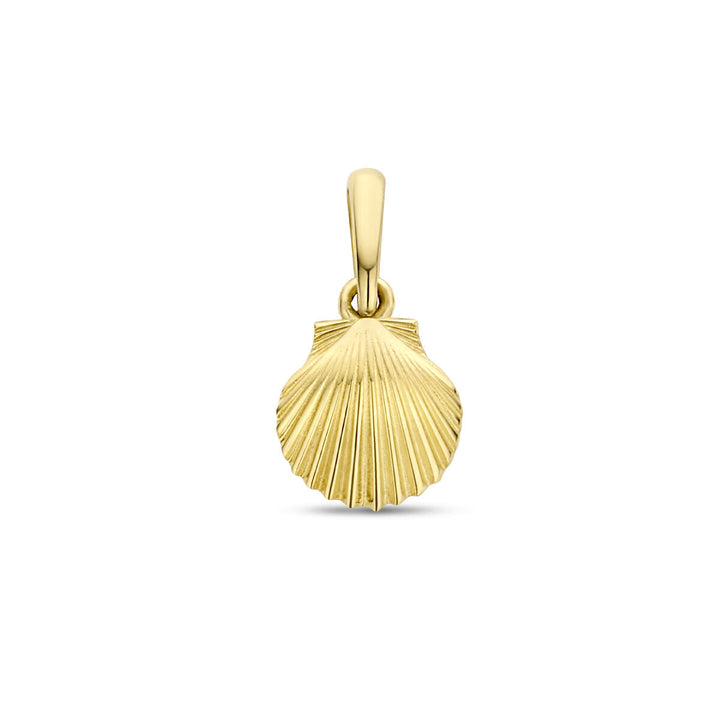 pendant shell 14K yellow gold