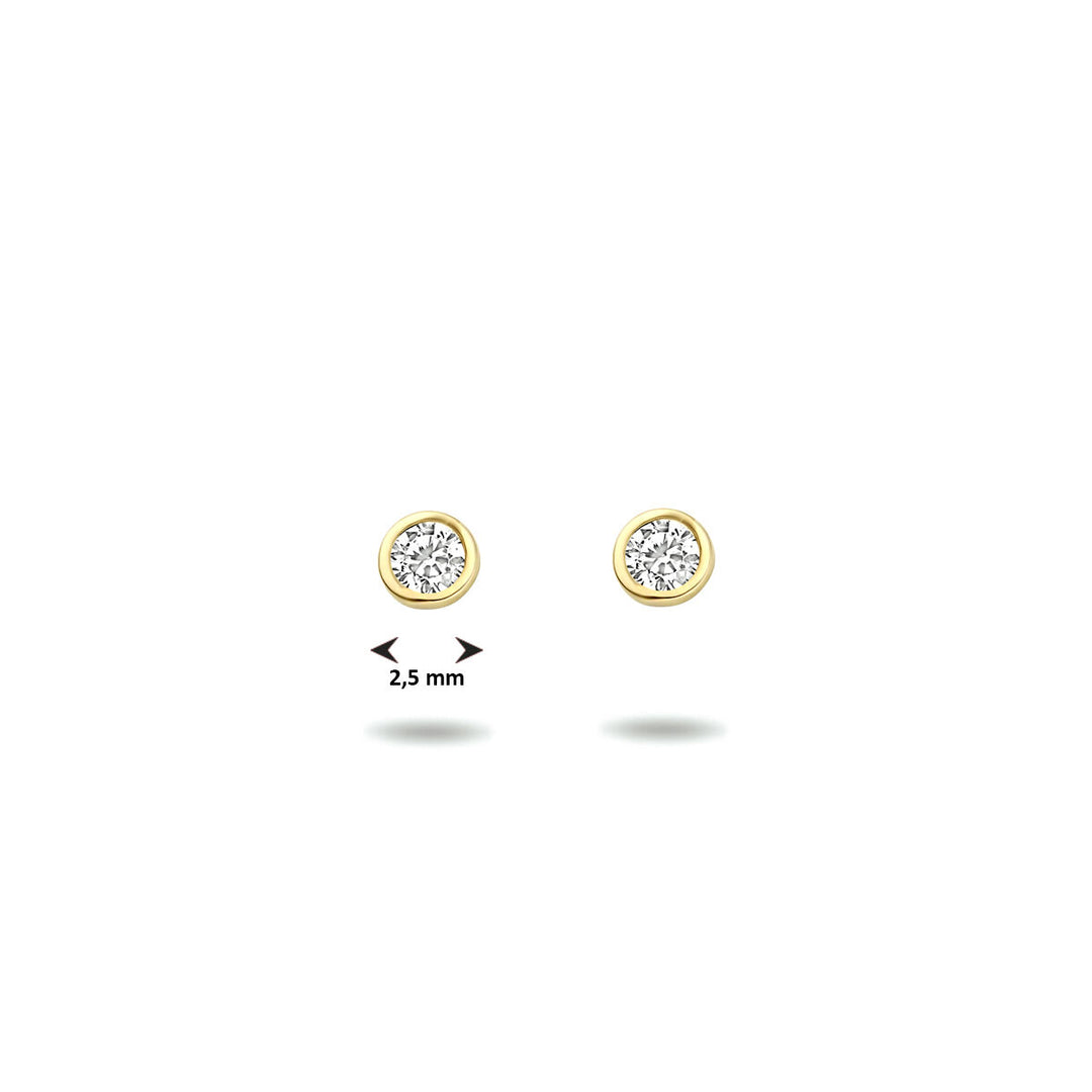 oorknoppen zirkonia 14K geelgoud