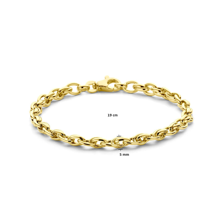 De Gouden armband dames 14K uit de Van der Kooij Collectie heeft ovalen schakels, een karabijnsluiting en meet 19 cm lang bij 5 mm breed, prachtig gepresenteerd op een witte achtergrond.