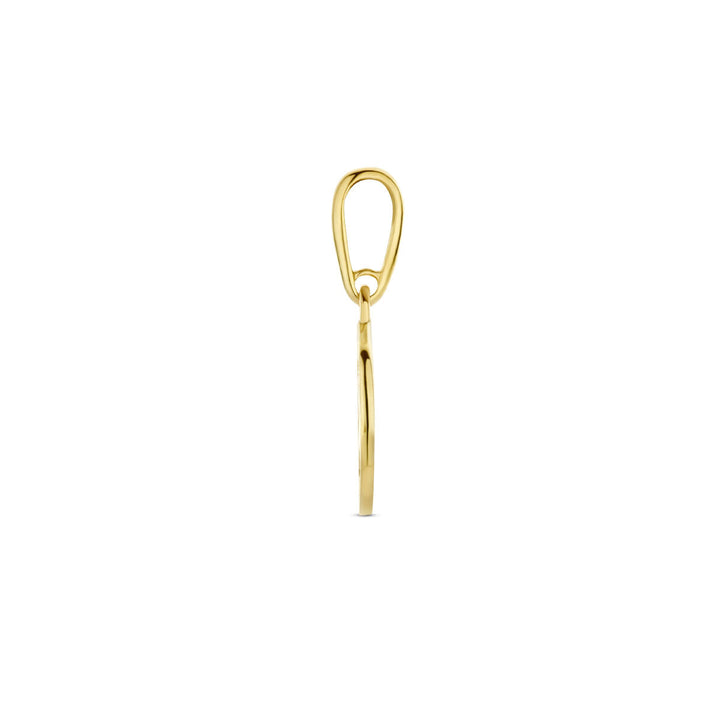 pendant compass 14K yellow gold