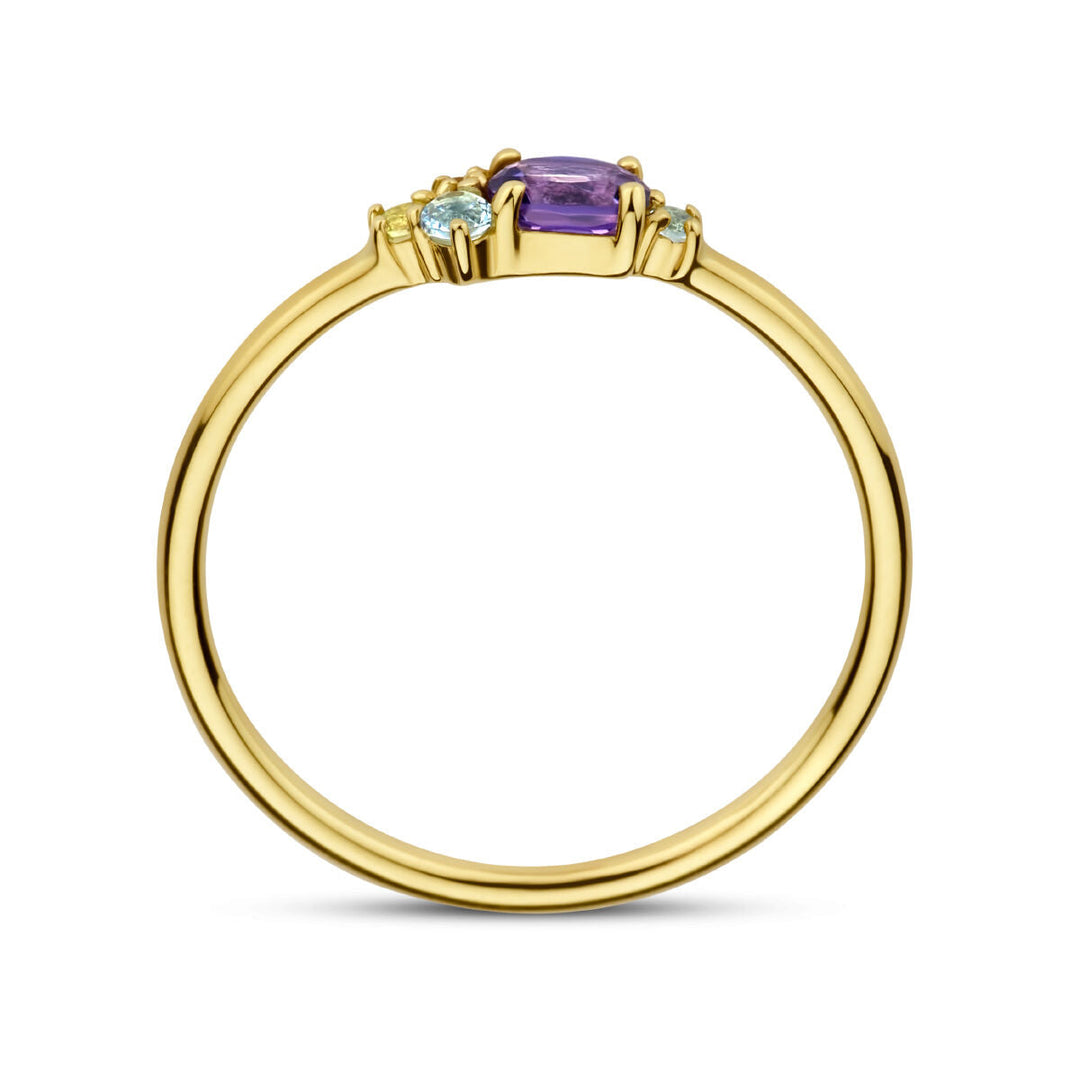 Een 14K geelgouden ring van de Van der Kooij Collectie met natuurlijke kleurstenen (0.16ct), getoond op een witte achtergrond.