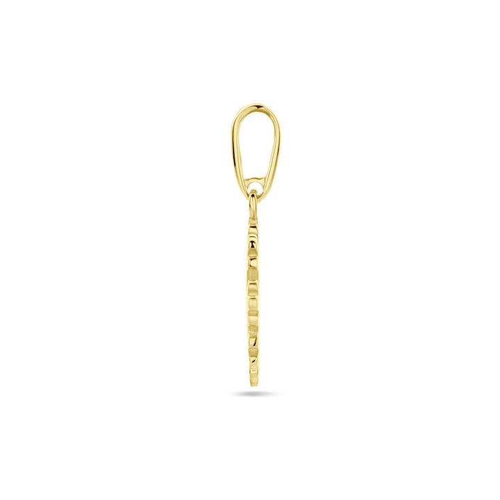hanger sneeuwvlok 14K geelgoud
