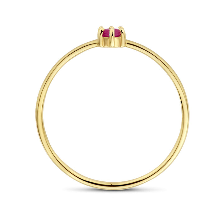 De ring met geboortesteen robijn juli van 14K geelgoud uit de Van der Kooij Collectie straalt elegantie uit.