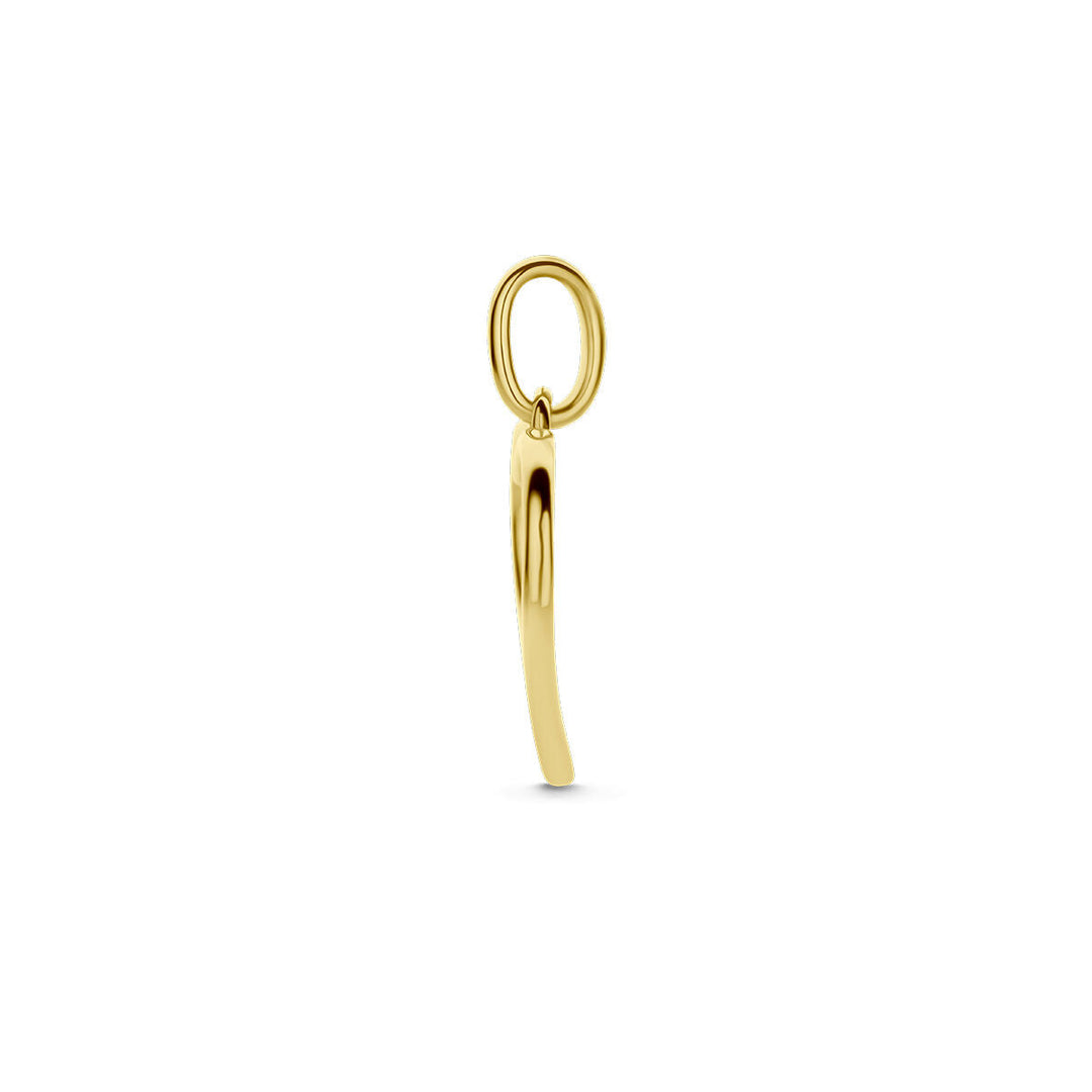 pendant hearts zirconia 14K bicolor gold yellow/white