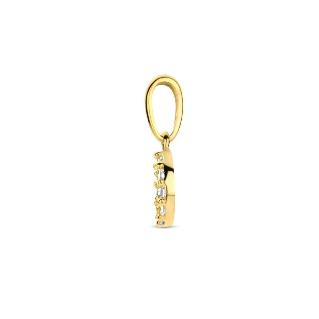 hanger rondje zirkonia 14K geelgoud