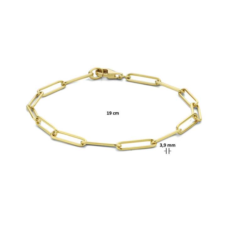 bracelet paper clip round solid 3.9 mm 19 cm 14K yellow gold
