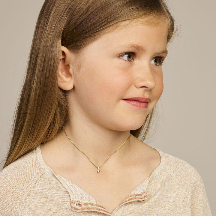 hanger ster 14K geelgoud