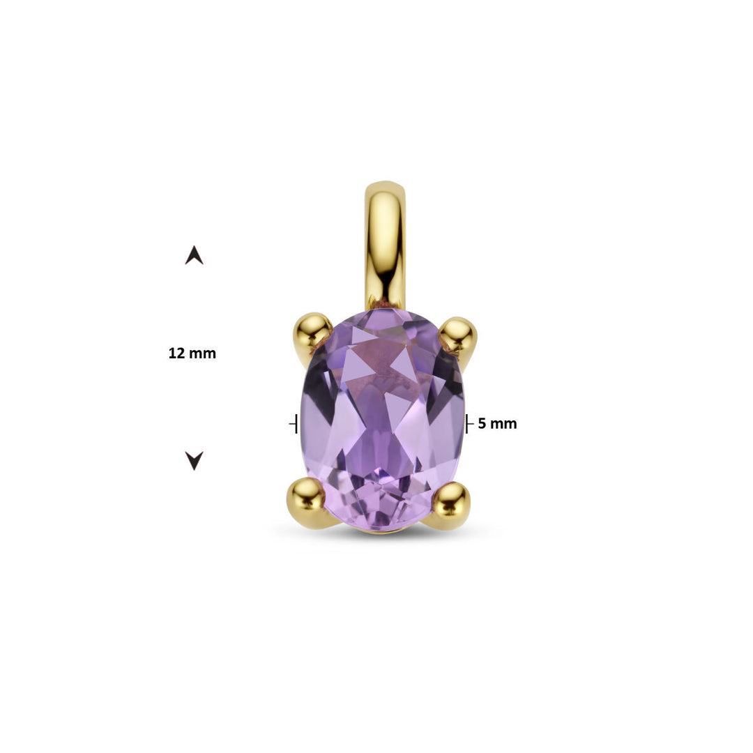 De Van der Kooij Collectie hanger amethist 14K geelgoud heeft een ovale amethist (12x5 mm) in een viertandige geelgouden hanger - een elegant damessieraad gepresenteerd op een effen witte achtergrond.