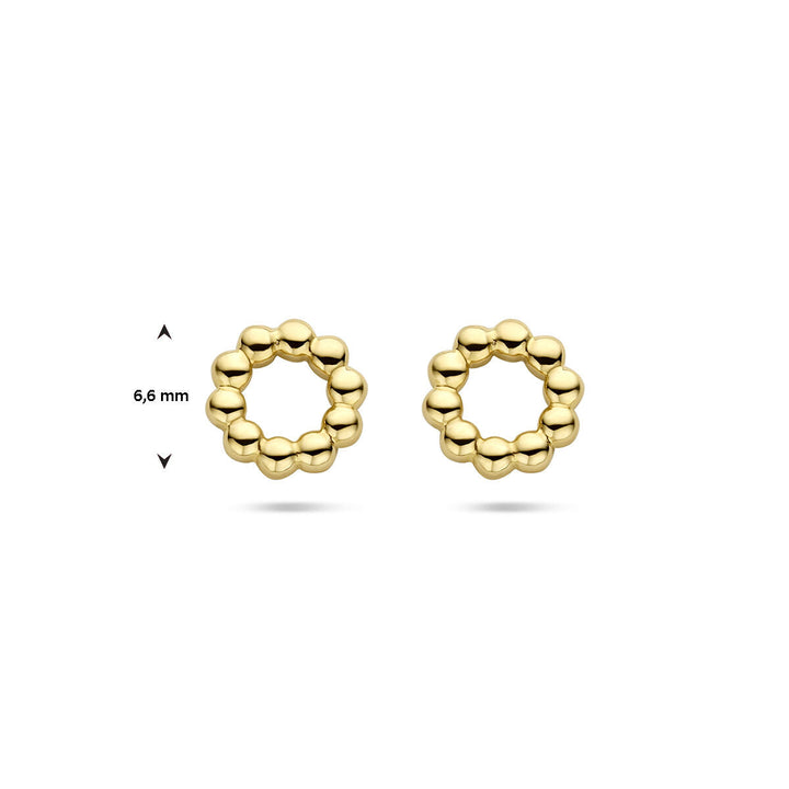 oorknopppen cirkel bolletjes 14K geelgoud