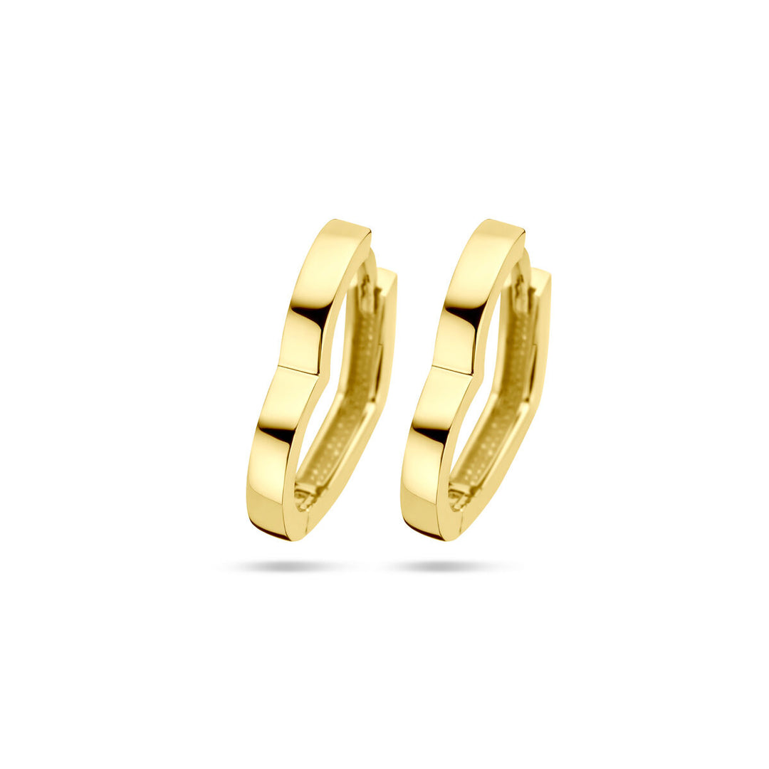 De Van der Kooij Collectie klapoorringen hart 14K geelgoud zijn chique hartvormige oorbellen in geelgoud, perfect voor dames sieraden collecties, afgebeeld op een witte achtergrond.