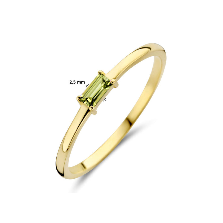 De Van der Kooij Collectie ring met geboortesteen peridot augustus is een slanke 14K geelgouden ring met een horizontale, rechthoekige lichtgroene steen (2,5 mm). Elegant en minimalistisch-het perfecte cadeau voor geboortemomenten.