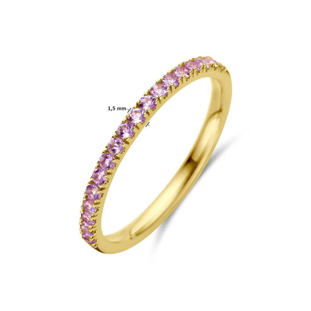 Van der Kooij Collectie ring met geboortesteen licht amethist juni, robuuste uit 14K geelgoud met een dunne band van 1,5 mm en kleine ronde licht amethist stenen langs de bovenzijde voor een elegante uitstraling.