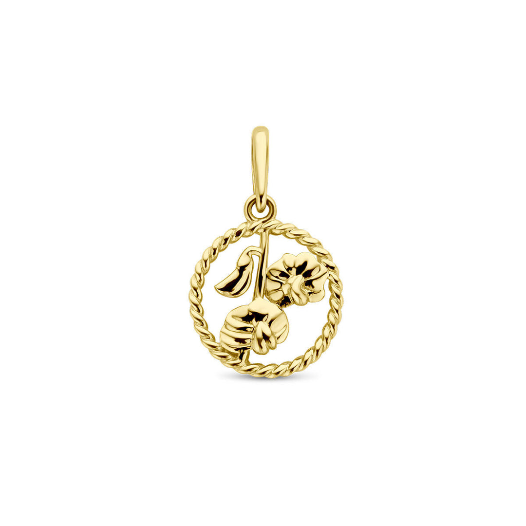 De hanger met geboortebloem 14K geelgoud uit de Van der Kooij Collectie is een uniek sieraad: een hand die een bloem vasthoudt in een gedraaide cirkel, met oogje voor je ketting. Perfect als luxe geboortebloem sieraad!.