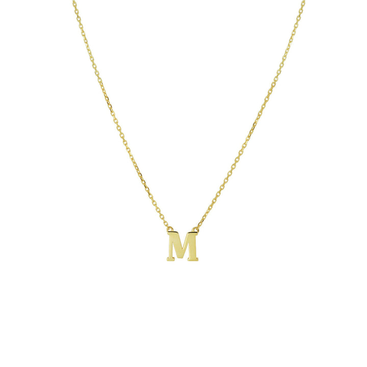 De Van der Kooij Collectie Gouden dames kettingletter 14K heeft een delicaat ankerkettinkje met een opvallende, persoonlijke hoofdletterhanger - een ideaal sieradencadeau voor dames op een effen witte achtergrond.
