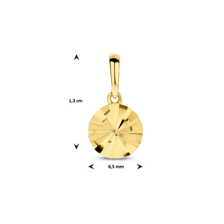 hanger rondje gediamanteerd 14K geelgoud