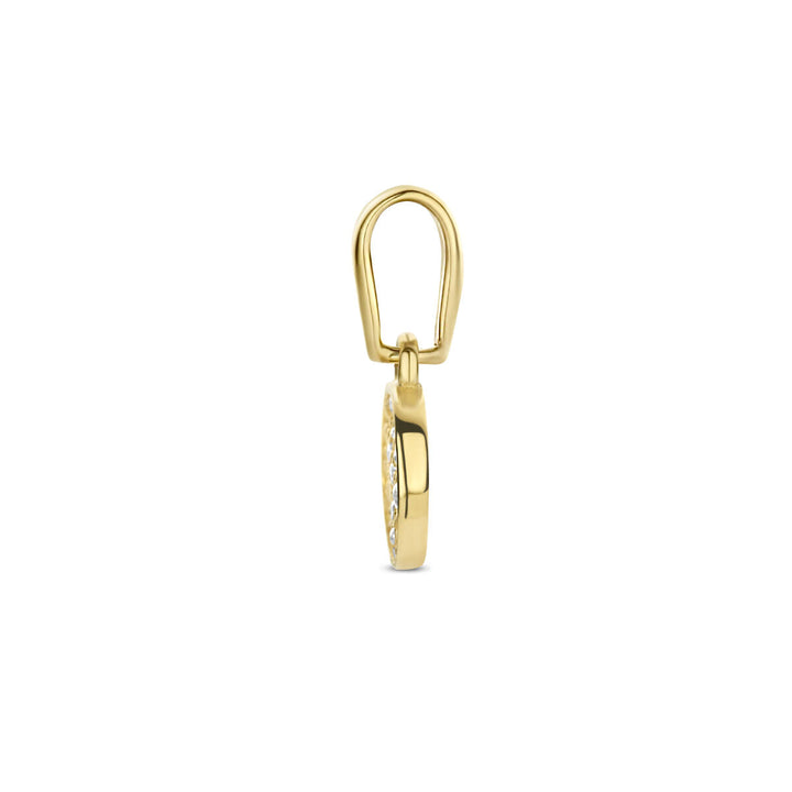 hanger rondje zirkonia