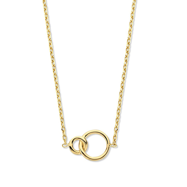 Gouden Collier met Geslepen Ankerschakel en Verbonden Cirkels – 14-Karaat Elegantie voor Dames