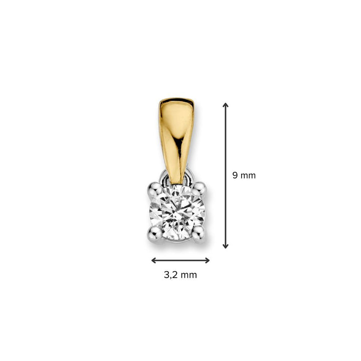 Bicolor 14 Karaat Gouden Solitair Hanger met 0,16ct Briljant Diamant