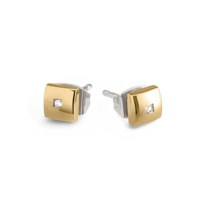 Boccia Titanium Ear Studs Bico dia 2/0.01 - 05050-03