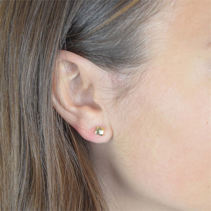 Boccia Titanium Ear Studs Bico dia 2/0.01 - 05050-03