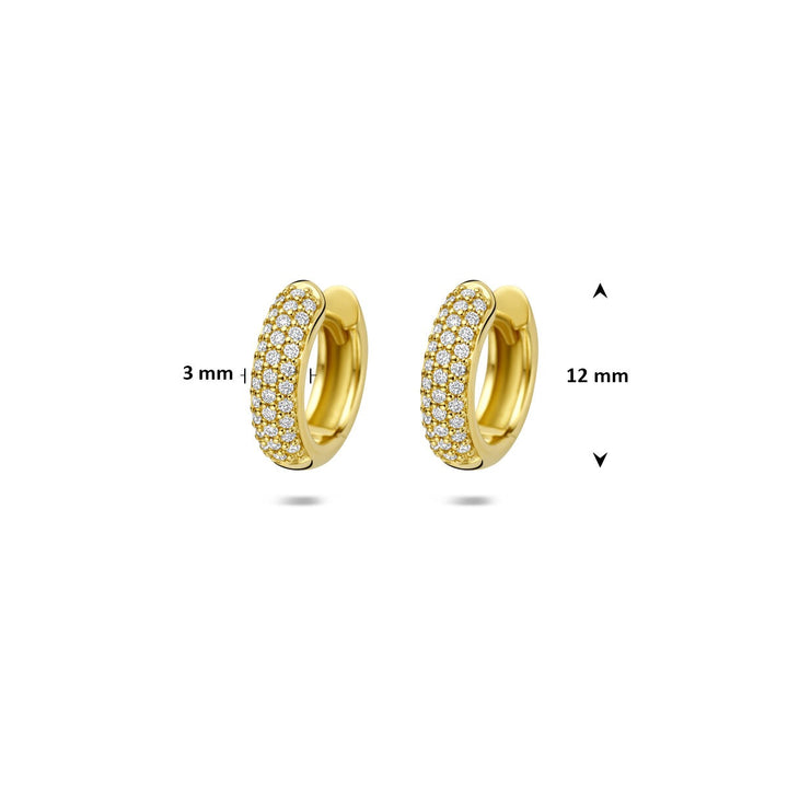 14k Geelgouden klapoorringen met diamant