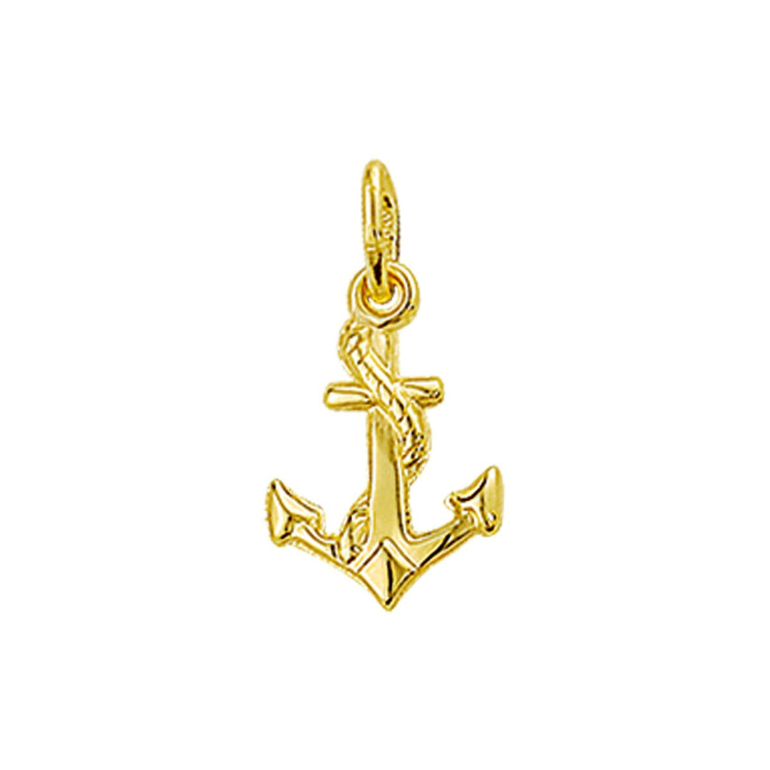 9k Geelgouden Ketting met Hanger Anker