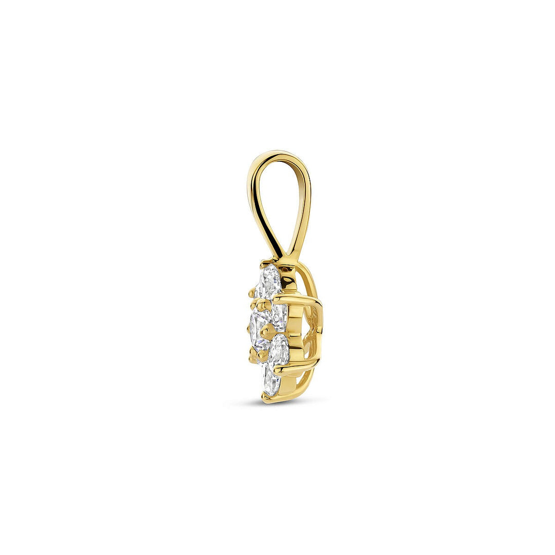 Gouden hanger met zirkonia – 14k, entourage stijl