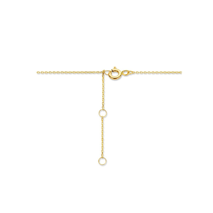 14k geelgouden anker collier met veer