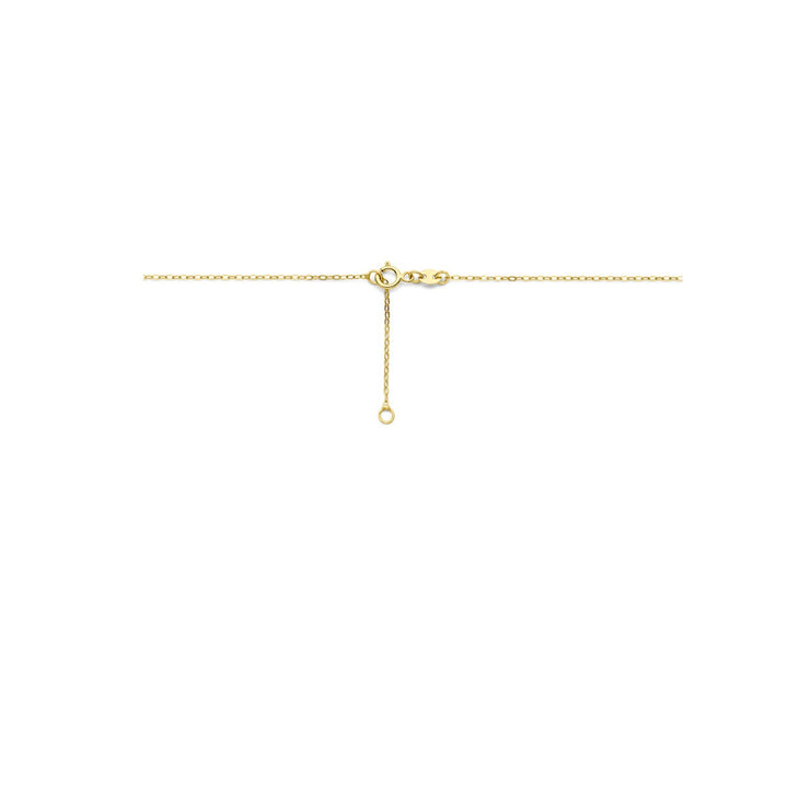 14k Geelgouden Collier met Hartje