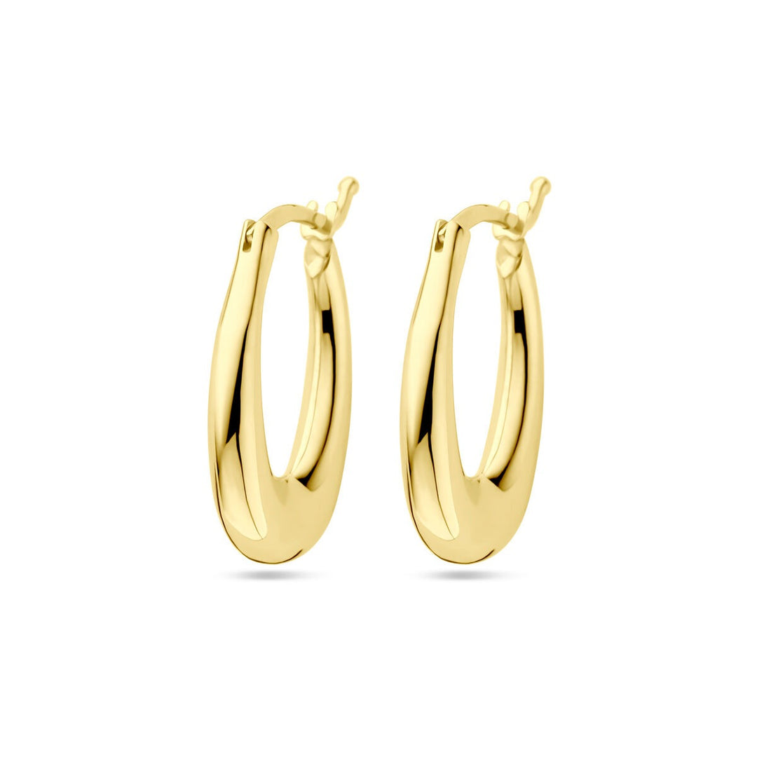 9k Geelgouden oorringen
