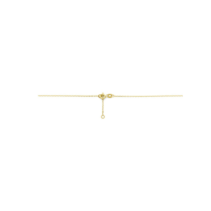 necklace circle and diamond 0.01ct h si 43 - 45 cm 14K yellow gold