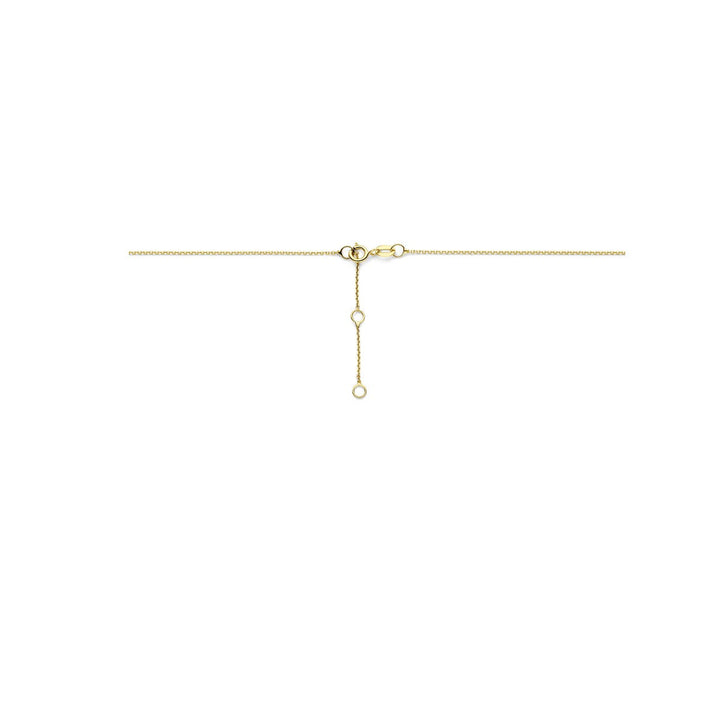 Gouden Collier 14k met Zirkonia – Pavé Zetting