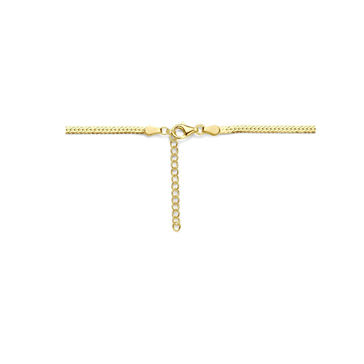 Verguld zilveren gourmette collier – Dames Kettingen
