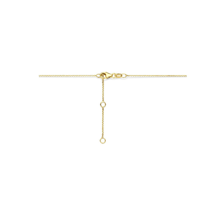 14k Geelgouden ketting met ster en lab grown diamant