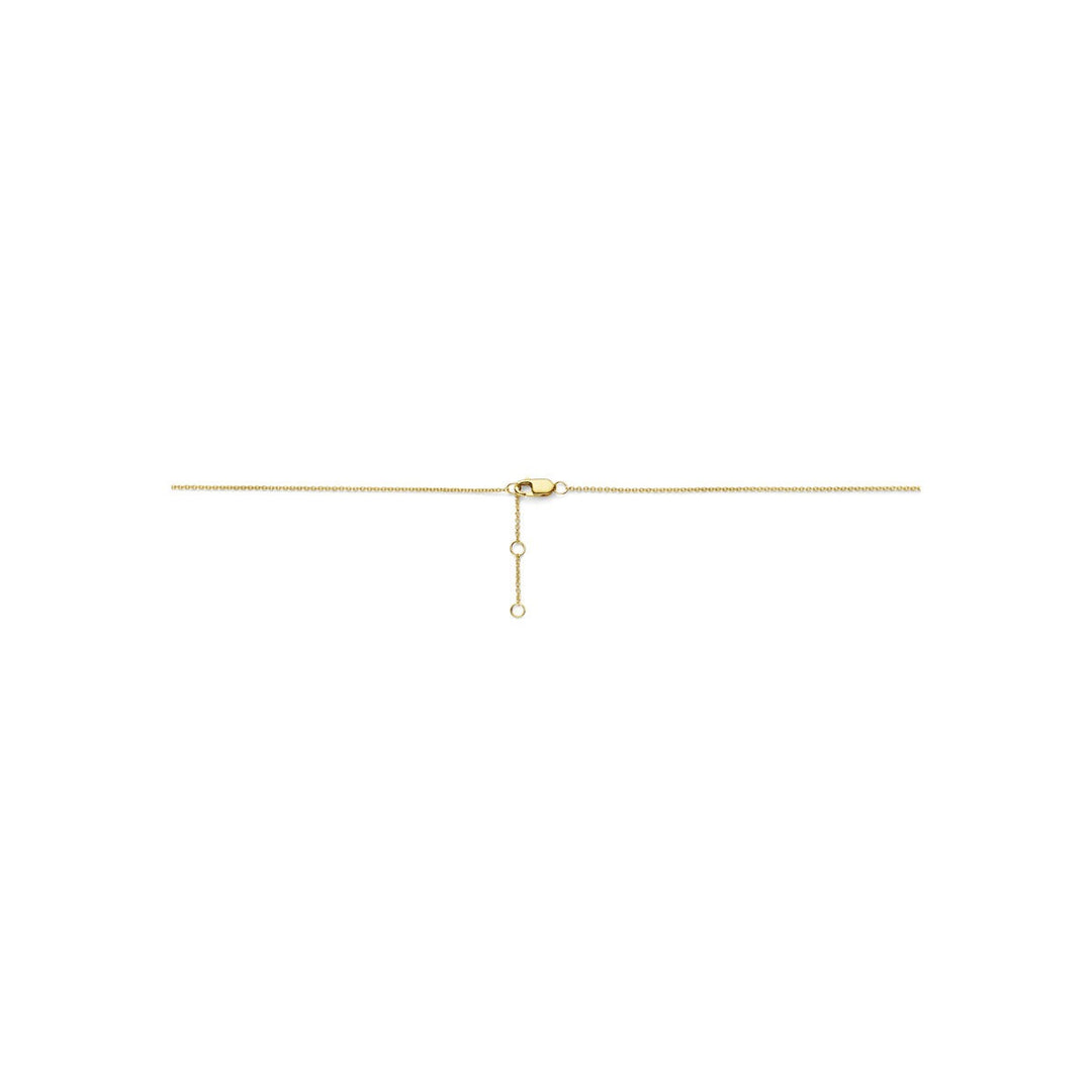 14k Bicolor collier met diamant 0.25ct