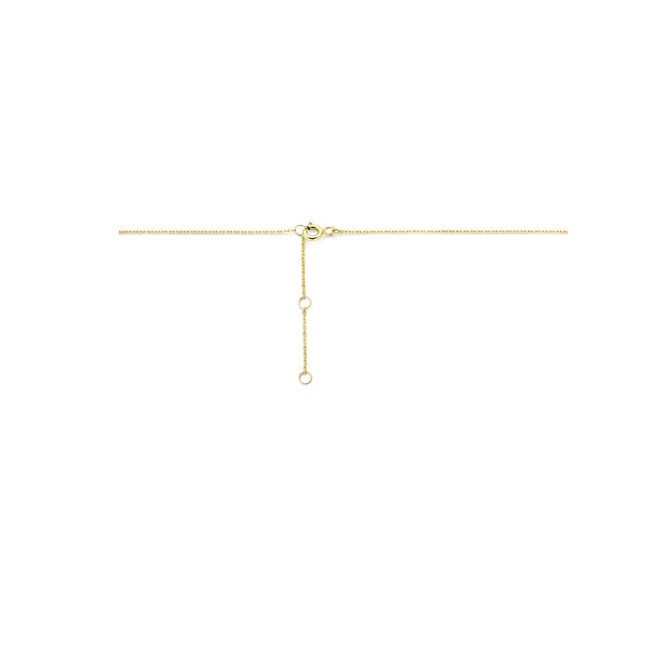 9k Geelgouden strik ketting