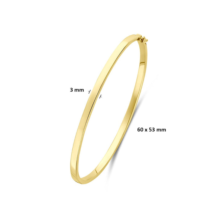 9k Geelgouden bangle armband met vlakke buis en zilveren kern