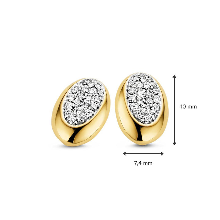 14 Karaat Bicolor Gouden Oorstekers met Briljant - 0,02 crt Diamant