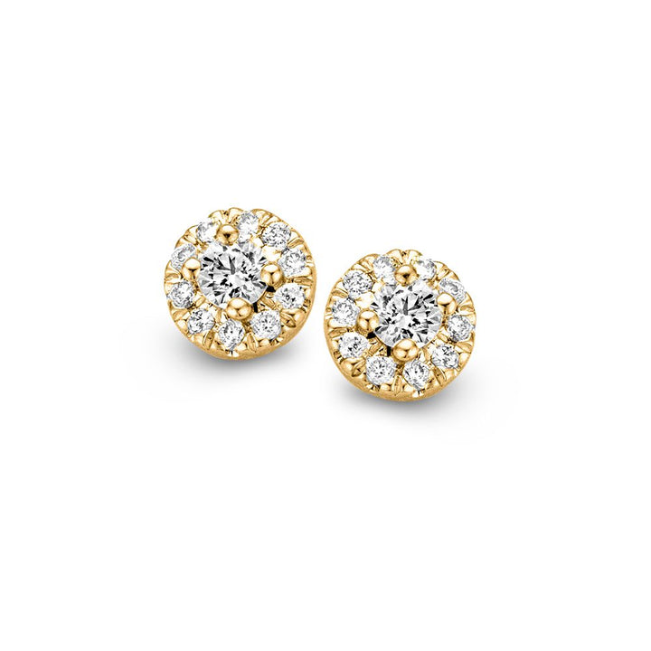 Geelgouden Oorstekers in Entourage Zetting met Diamant van 0,17 crt