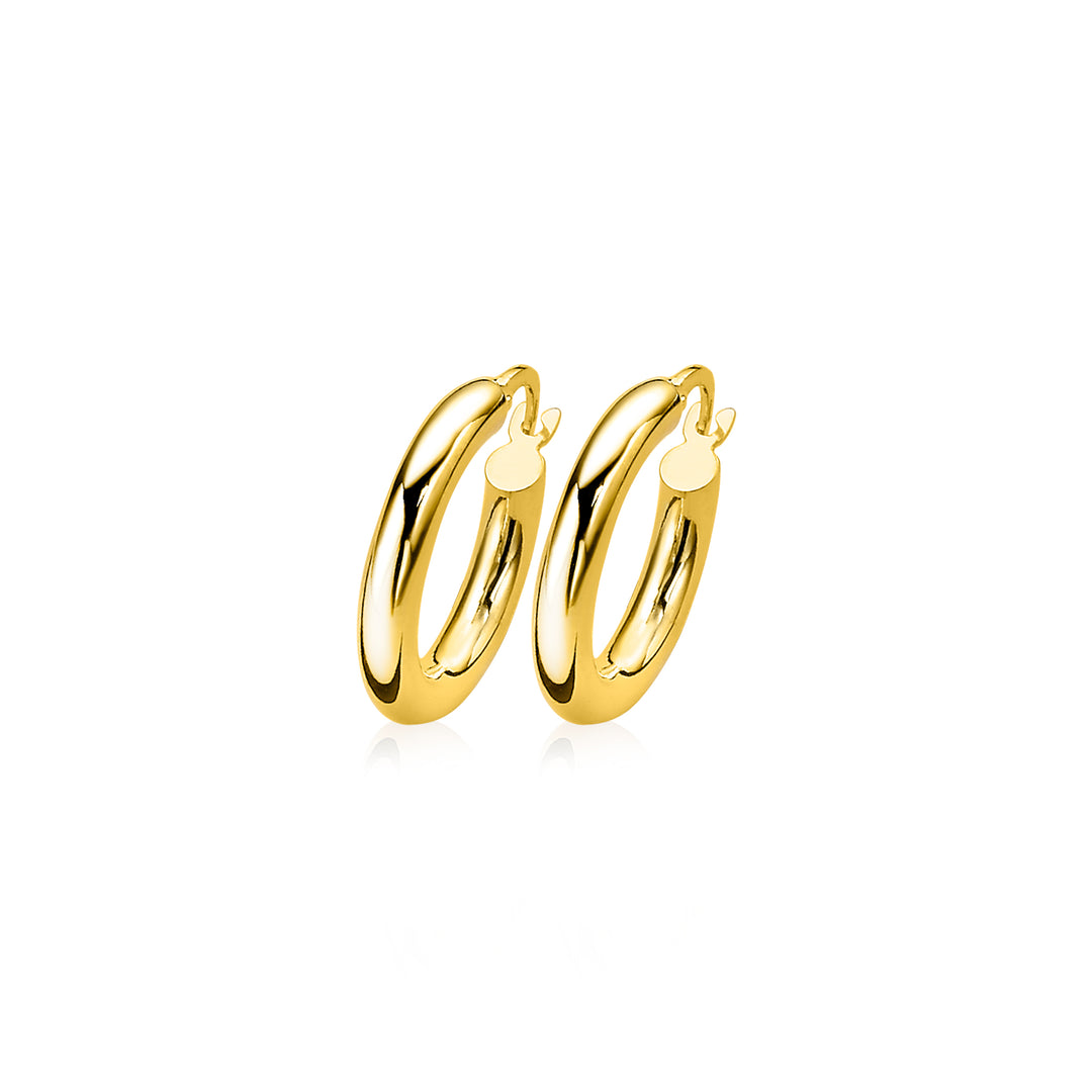 Zinzi Oorbellen Goud Zgo131